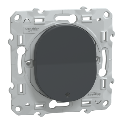 OVALIS ANTHRACITE POUSSOIR A FERMETURE 10A LED BLEU 250V