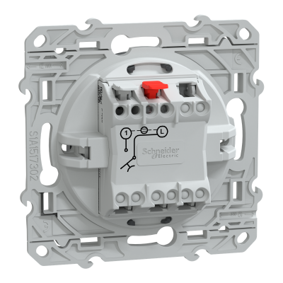 OVALIS ANTHRACITE POUSSOIR A FERMETURE 10A LED BLEU 250V