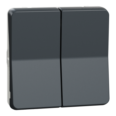 MUREVA ANTHRACITE COMPOSABLE POUSSOIR DOUBLE IP55 IK07