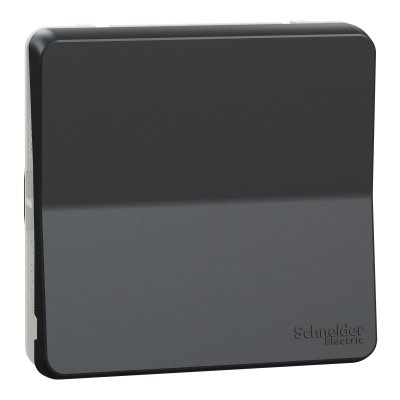 MUREVA ANTHRACITE COMPOSABLE POUSSOIR IP55 IK07