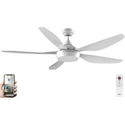 BRASSEUR D'AIR ABACO DC 5 PALES ABS BLANC Ø137cm TELECDE-WIFI-LED 20W