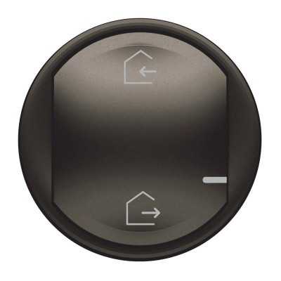 CELIANE WITH NETATMO GRAPHITE ENJOLIVEUR COMMANDE DEPART/ARRIVEE
