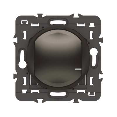 CELIANE WITH NETATMO GRAPHITE COMMANDE SANS FIL s/plaque