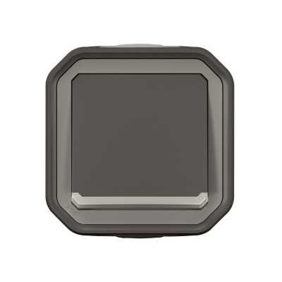 PLEXO ANTHRACITE POUSSOIR NO LUMINEUX 10A IP55 IK08 - COMPLET SAILLIE