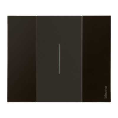 LIVING NOW NOIR ENJOLIVEUR COMMANDE D'ECLAIRAGE 2 MODULES