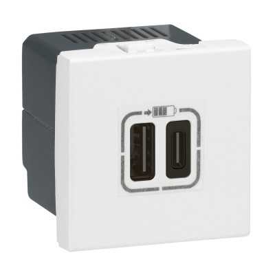 MOSAIC MODULE DE CHARGE USB Type A + Type C 230V 2M BLANC